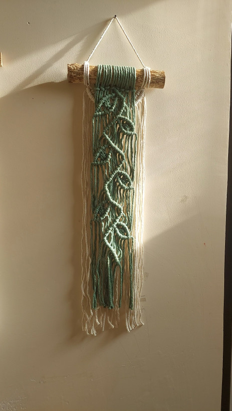 دیوادکوب مکرمه طرح رویش رنگ سبز طول ۲۵ سانت ارتفاع ۱۵۰ سانت
